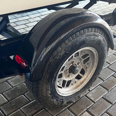 Bass19_2019_11.jpg